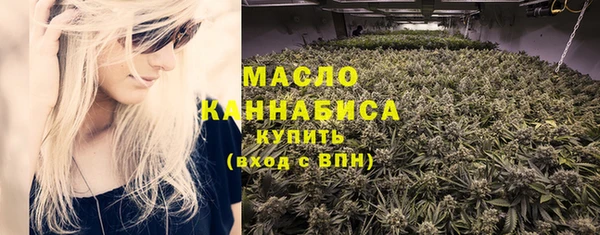 гидра Осинники