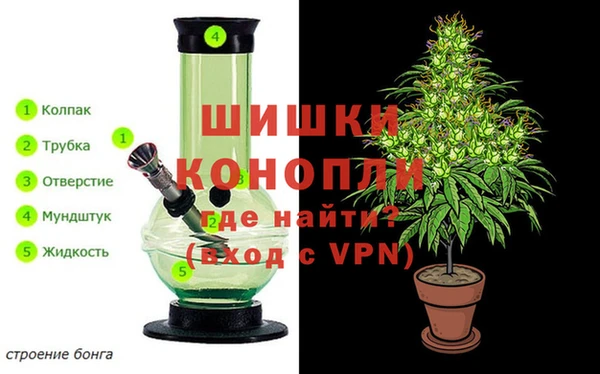 гидра Осинники