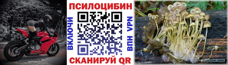 Галлюциногенные грибы прущие грибы что такое Энем